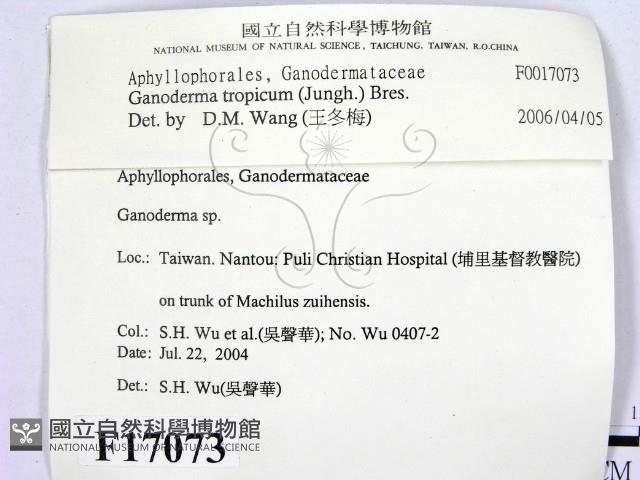 登錄號:F0017073藏品圖，第2張