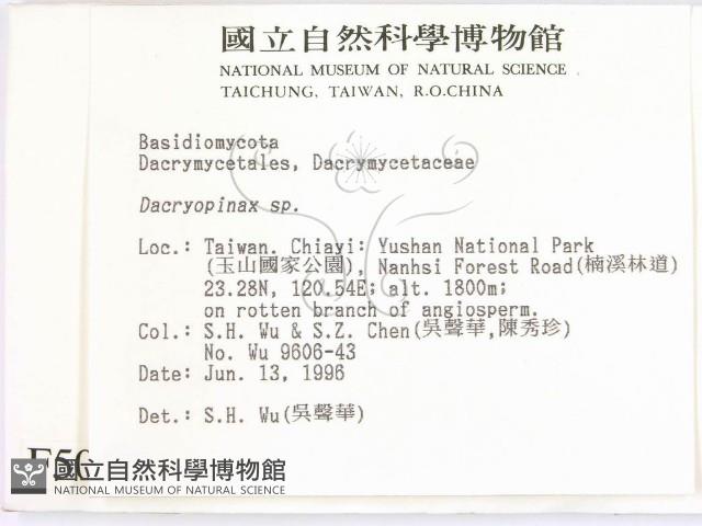 登錄號:F0005073藏品圖，第2張