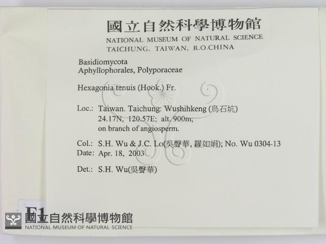 登錄號:F0015073藏品圖，第2張