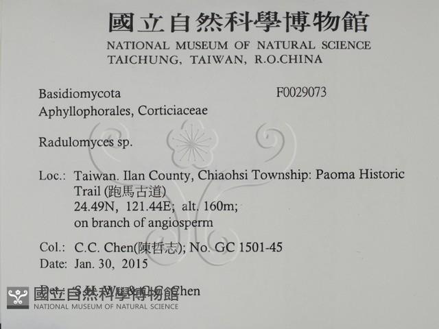 登錄號:F0029073藏品圖，第2張