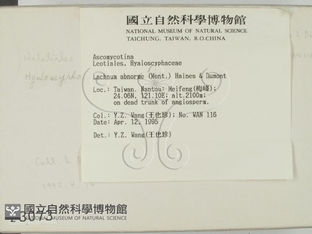 登錄號:F0003073藏品圖，第2張