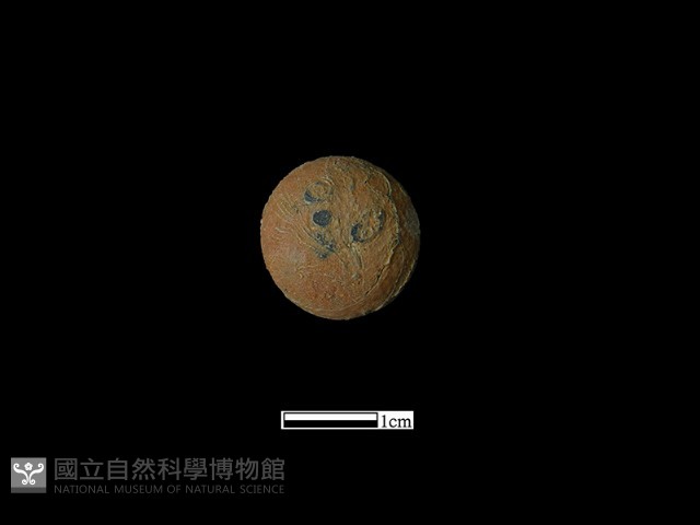 圍棋子藏品圖，第2張