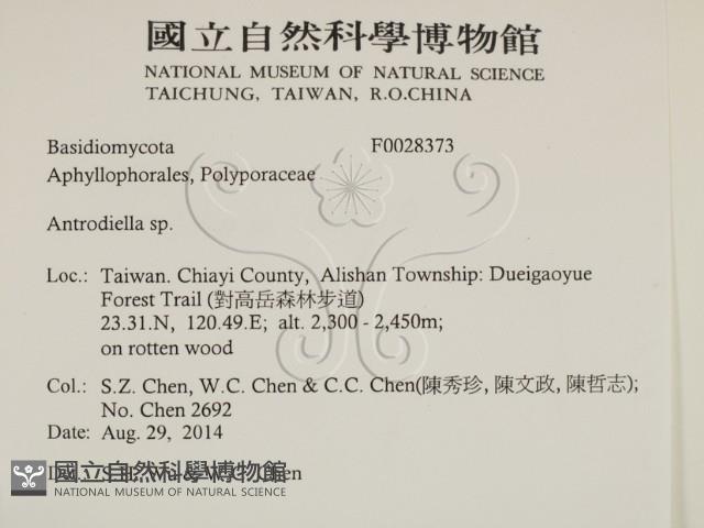 登錄號:F0028373藏品圖，第2張