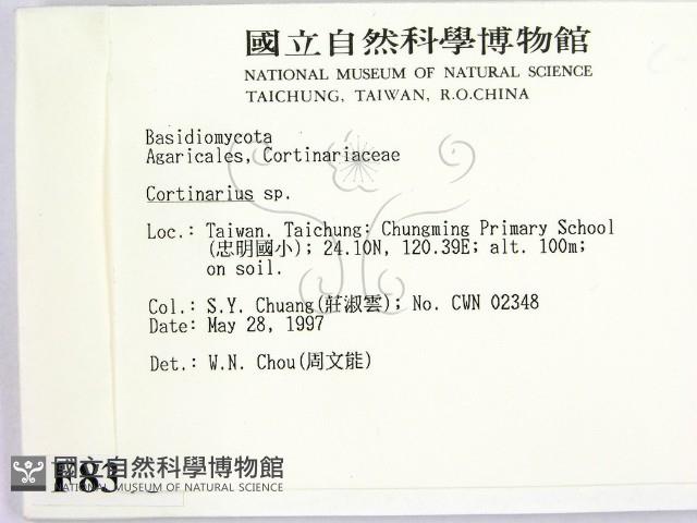 登錄號:F0008373藏品圖，第2張
