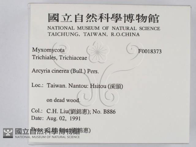 館號:F0018373藏品圖，第2張