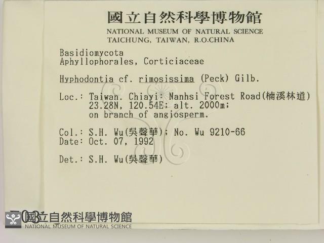 登錄號:F0000373藏品圖，第2張