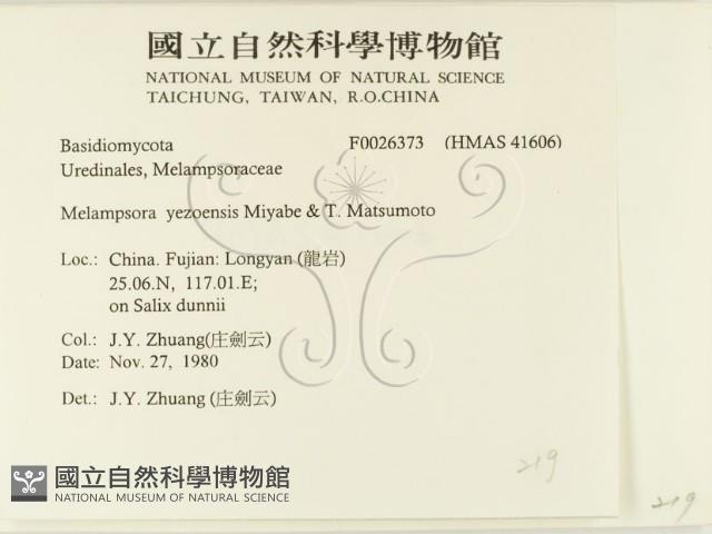 登錄號:F0026373藏品圖，第2張