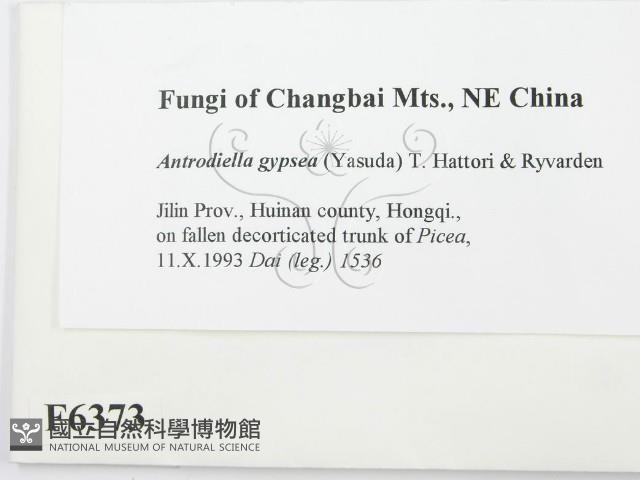 登錄號:F0006373藏品圖，第2張