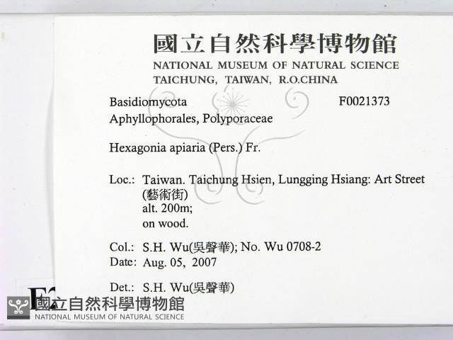 登錄號:F0021373藏品圖，第2張