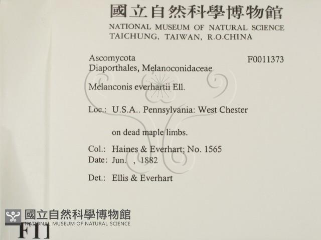 登錄號:F0011373藏品圖，第2張