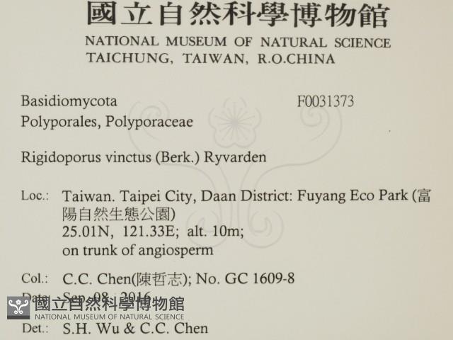 登錄號:F0031373藏品圖，第2張