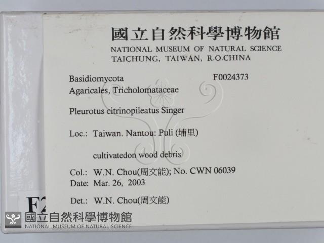 登錄號:F0024373藏品圖，第2張