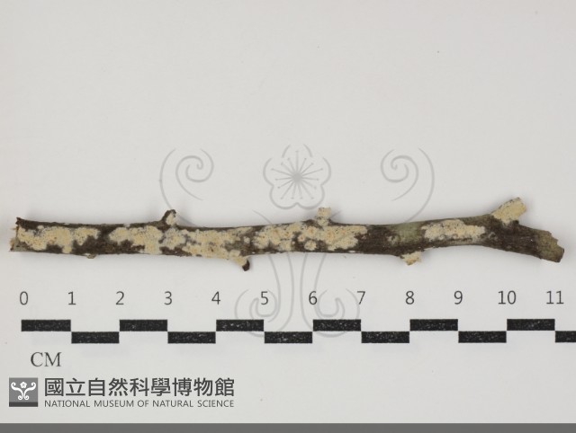 登錄號:F0034373藏品圖，第2張