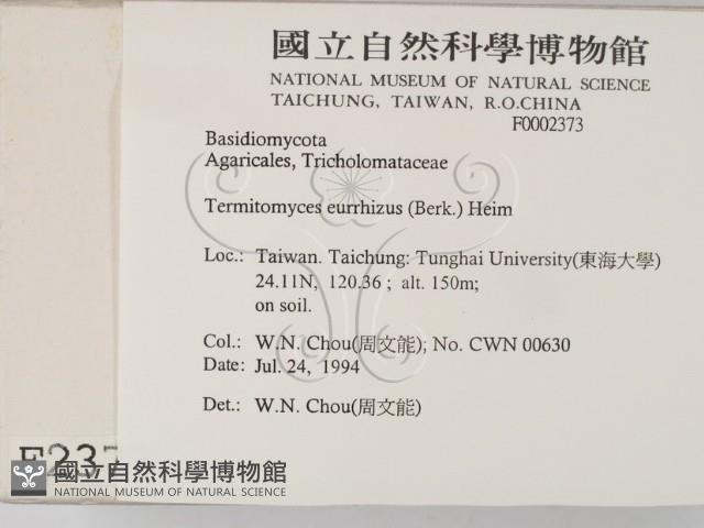 登錄號:F0002373藏品圖，第2張