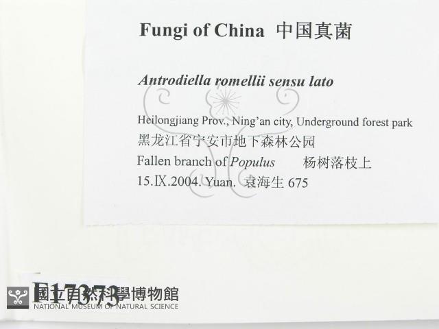 登錄號:F0017373藏品圖，第2張