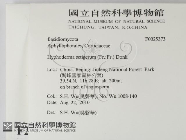 剛毛絲皮菌藏品圖，第2張