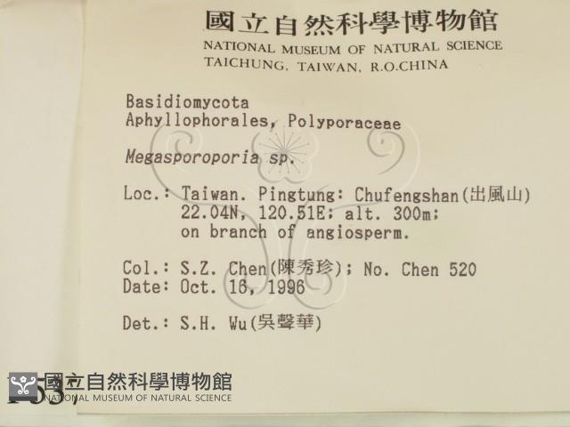 登錄號:F0005373藏品圖，第2張