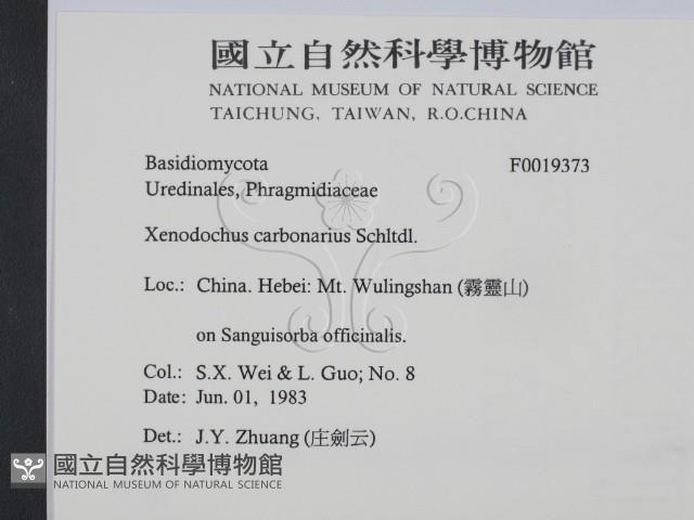 登錄號:F0019373藏品圖，第2張