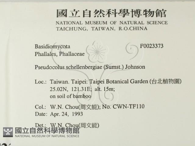 登錄號:F0023373藏品圖，第2張