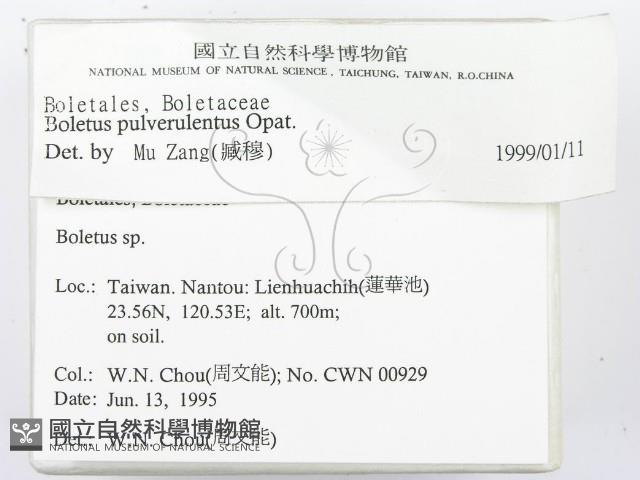 登錄號:F0003373藏品圖，第2張