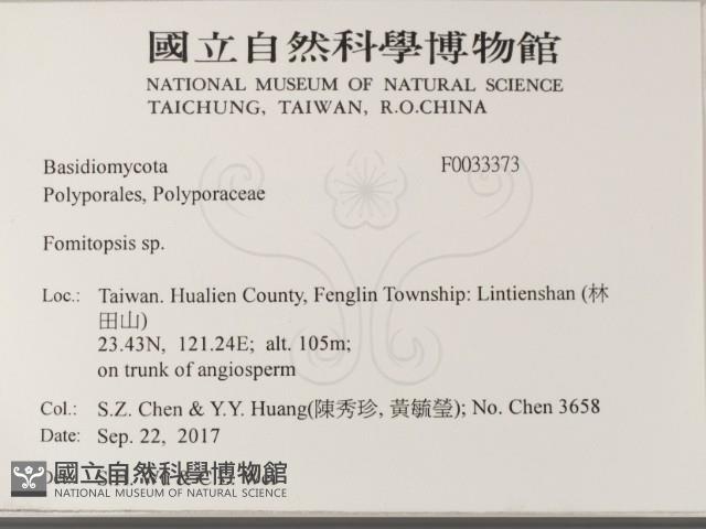 登錄號:F0033373藏品圖，第2張