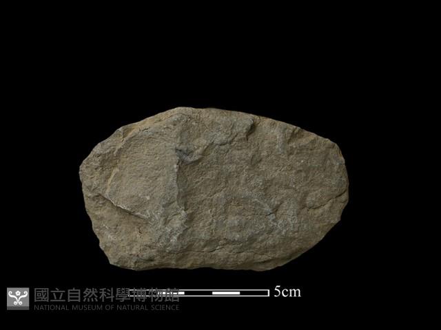 Accession Number:FC-2014-100 Collection Image, Figure 1, Total 2 Figures