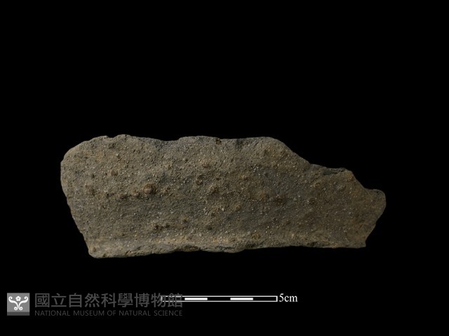 陶罐藏品圖，第2張