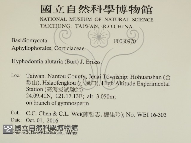登錄號:F0030970藏品圖，第2張
