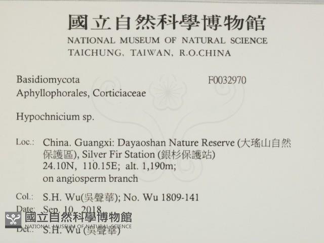 登錄號:F0032970藏品圖，第2張