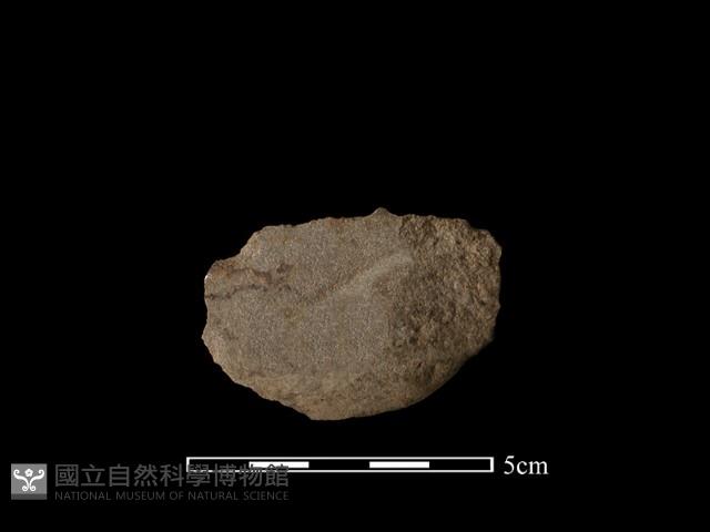 磨製斧鋤形器藏品圖，第2張