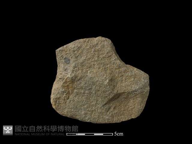 砍砸器藏品圖，第1張
