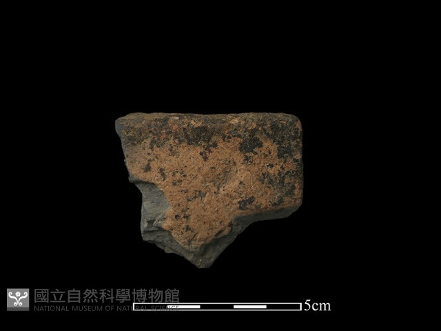 陶缽藏品圖，第1張