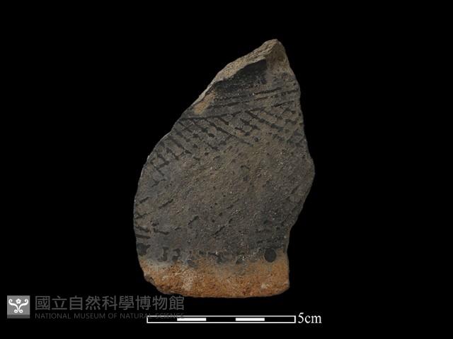 陶片藏品圖，第1張