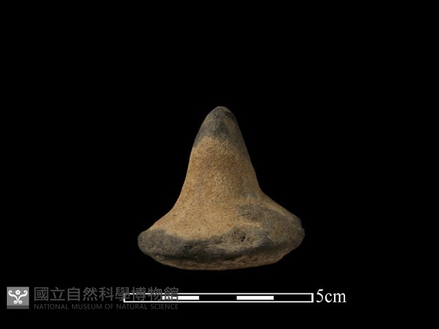 陶蓋鈕藏品圖，第2張