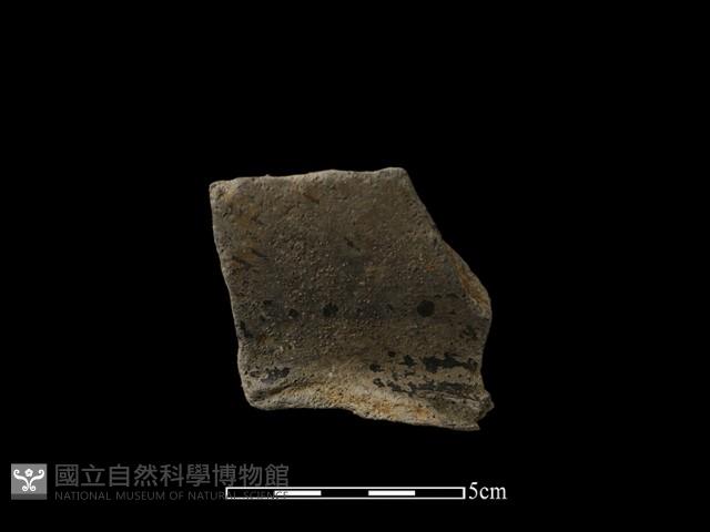 陶片藏品圖，第1張