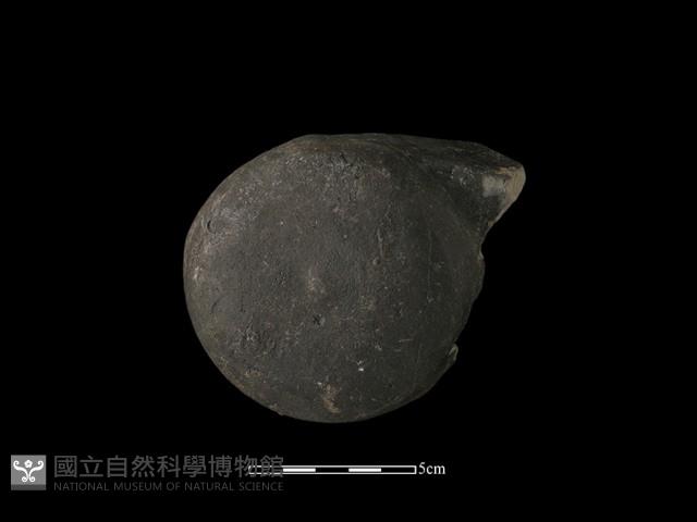 瓦當藏品圖，第1張