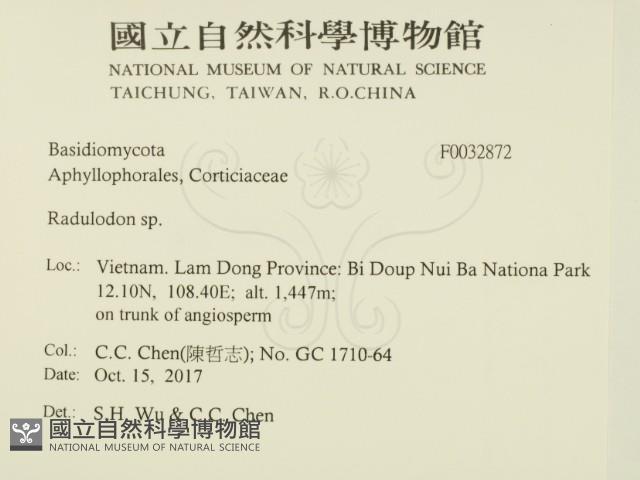 登錄號:F0032872藏品圖，第2張