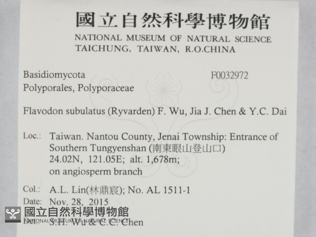 登錄號:F0032972藏品圖，第2張