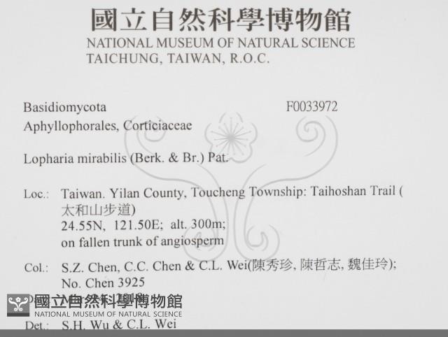 登錄號:F0033972藏品圖，第2張