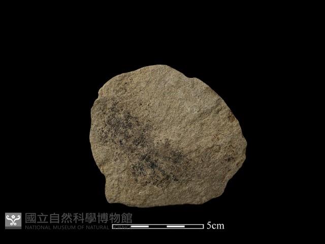 石片器藏品圖，第2張