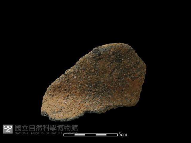 陶罐藏品圖，第1張