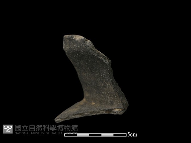 陶罐藏品圖，第1張