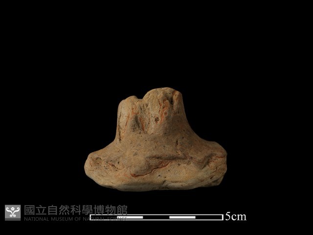 陶蓋鈕藏品圖，第1張