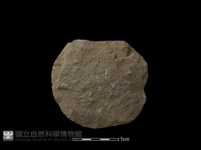 砍砸器藏品圖，第2張