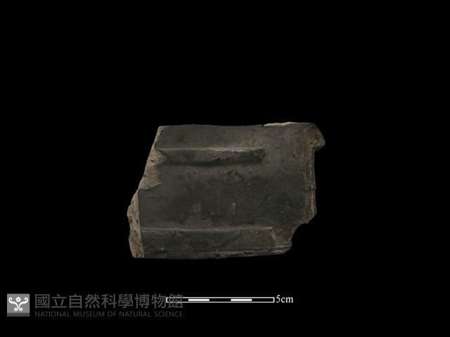 瓦片藏品圖，第2張