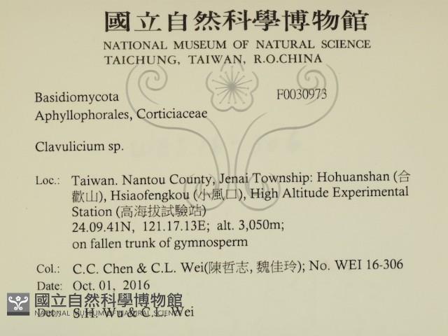 登錄號:F0030973藏品圖，第2張