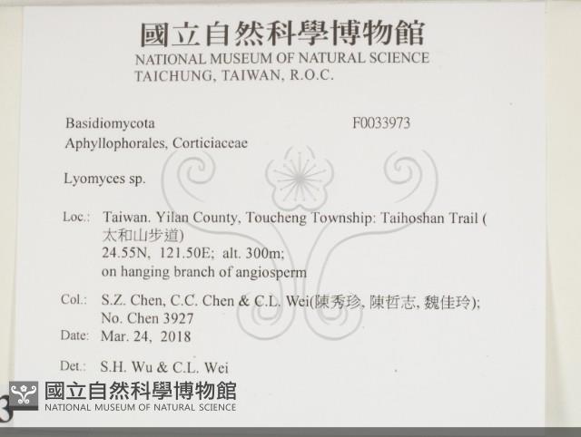 登錄號:F0033973藏品圖，第2張