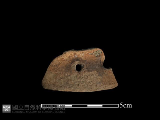 陶片藏品圖，第1張