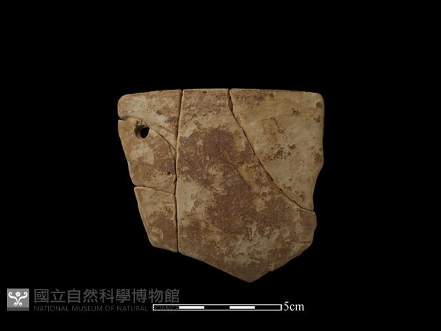 陶缽藏品圖，第1張