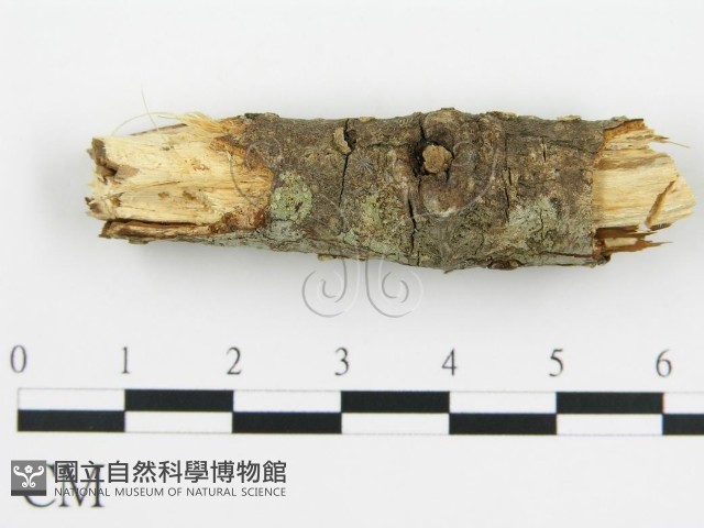 登錄號:F0015508藏品圖，第5張